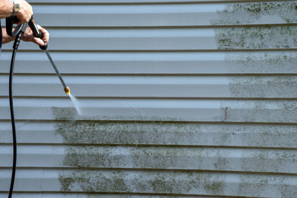 Best Stucco Siding  in Fairview, UT
